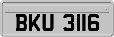 BKU3116