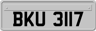 BKU3117