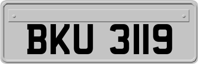 BKU3119
