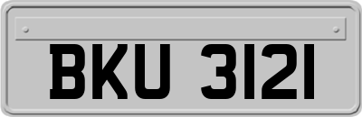 BKU3121