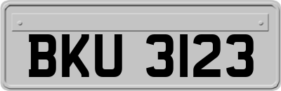 BKU3123