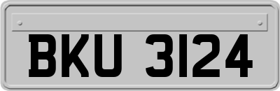 BKU3124