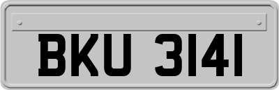 BKU3141