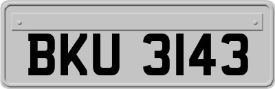 BKU3143