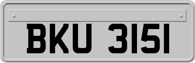 BKU3151