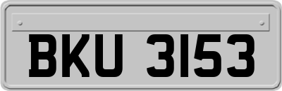 BKU3153