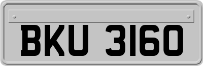 BKU3160