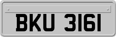 BKU3161