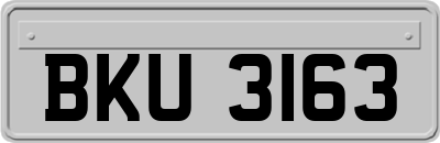 BKU3163