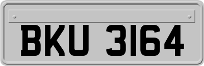 BKU3164