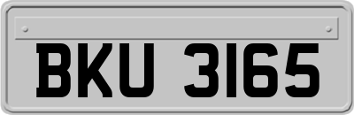 BKU3165