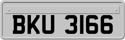 BKU3166