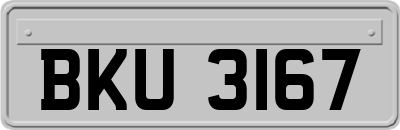 BKU3167