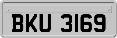 BKU3169