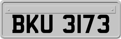 BKU3173