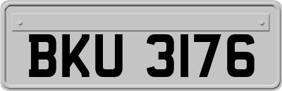 BKU3176