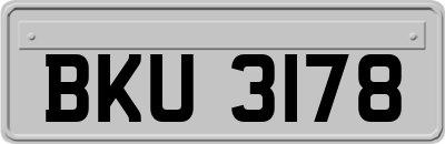 BKU3178