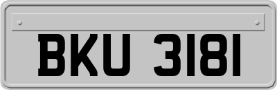 BKU3181