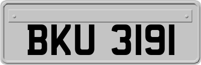 BKU3191
