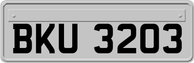 BKU3203