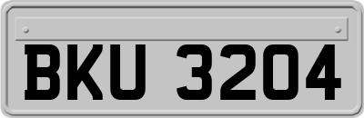 BKU3204