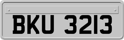BKU3213