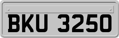 BKU3250