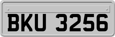 BKU3256