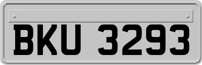 BKU3293