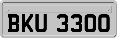 BKU3300