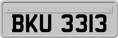 BKU3313