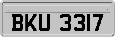 BKU3317