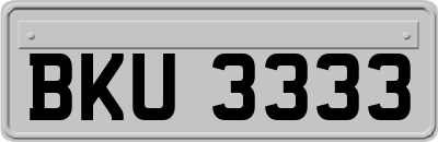 BKU3333