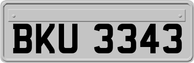 BKU3343