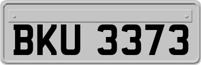 BKU3373