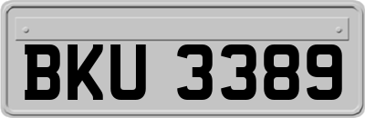 BKU3389