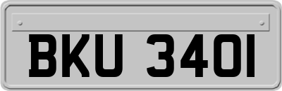 BKU3401