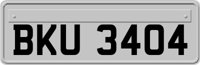 BKU3404