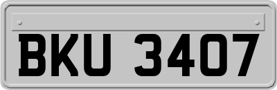 BKU3407
