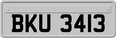 BKU3413
