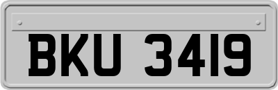 BKU3419