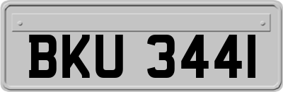 BKU3441
