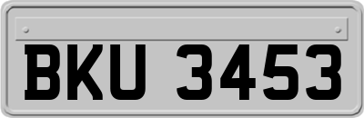 BKU3453