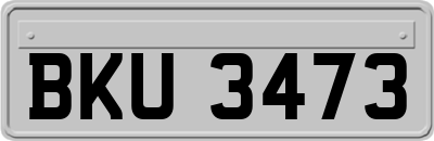 BKU3473
