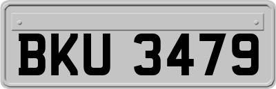BKU3479
