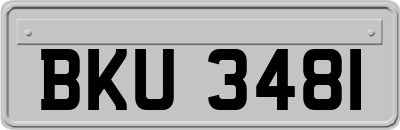 BKU3481
