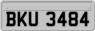 BKU3484