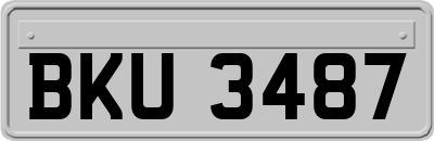 BKU3487