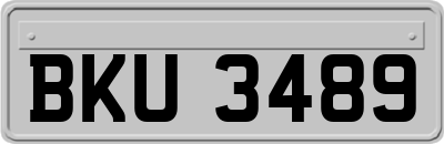 BKU3489