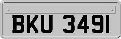 BKU3491